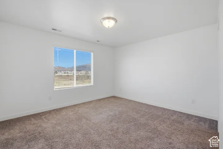 Expansive room featuring neutral-toned carpeting, white walls, and a ceiling-mounted light fixture