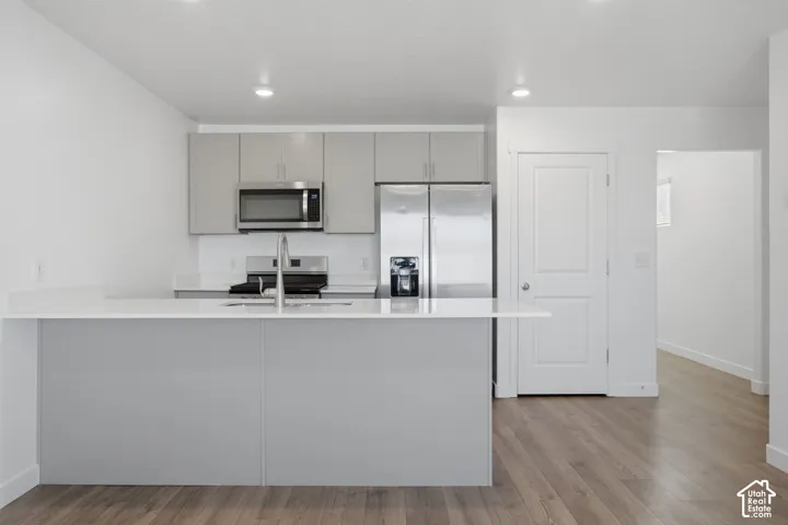 Kitchen featuring a large island with an undermount sink, stainless steel appliances, light gray cabinetry, and wood-finish flooring