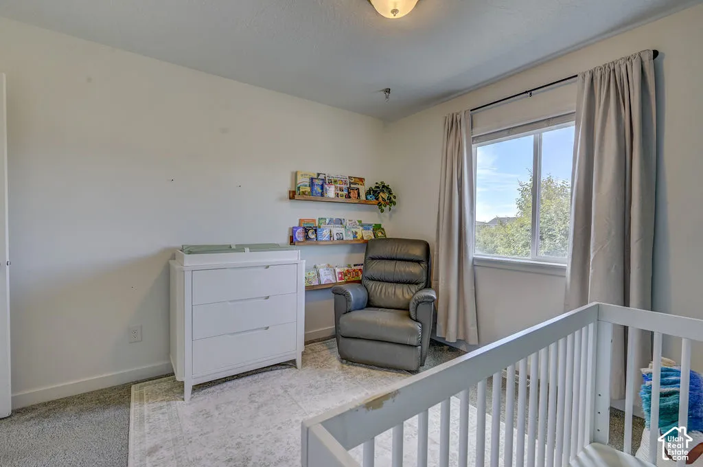 Neutral wall color, carpeted flooring, window with natural light, wall-mounted shelving