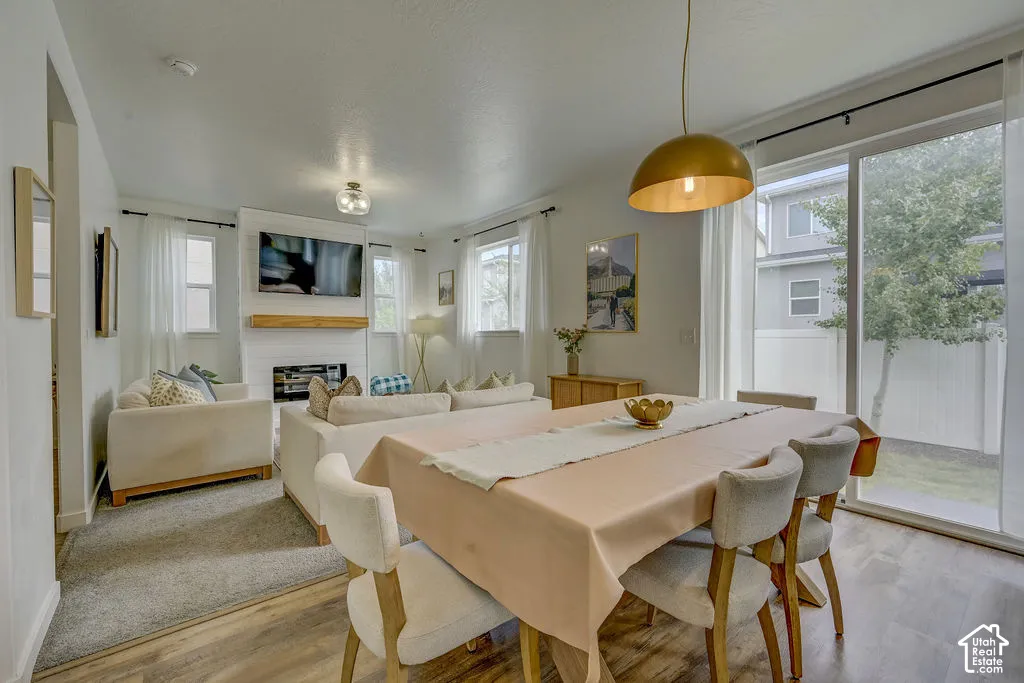Open-concept living area with wood-finish flooring