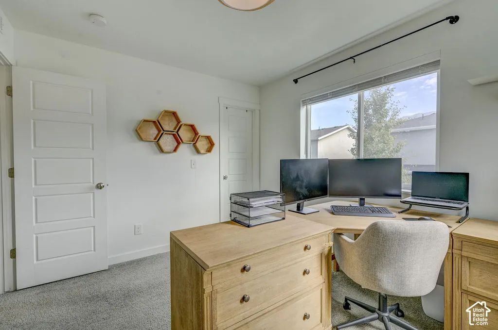 Expansive window with roller shade, neutral wall paint, and gray carpet flooring