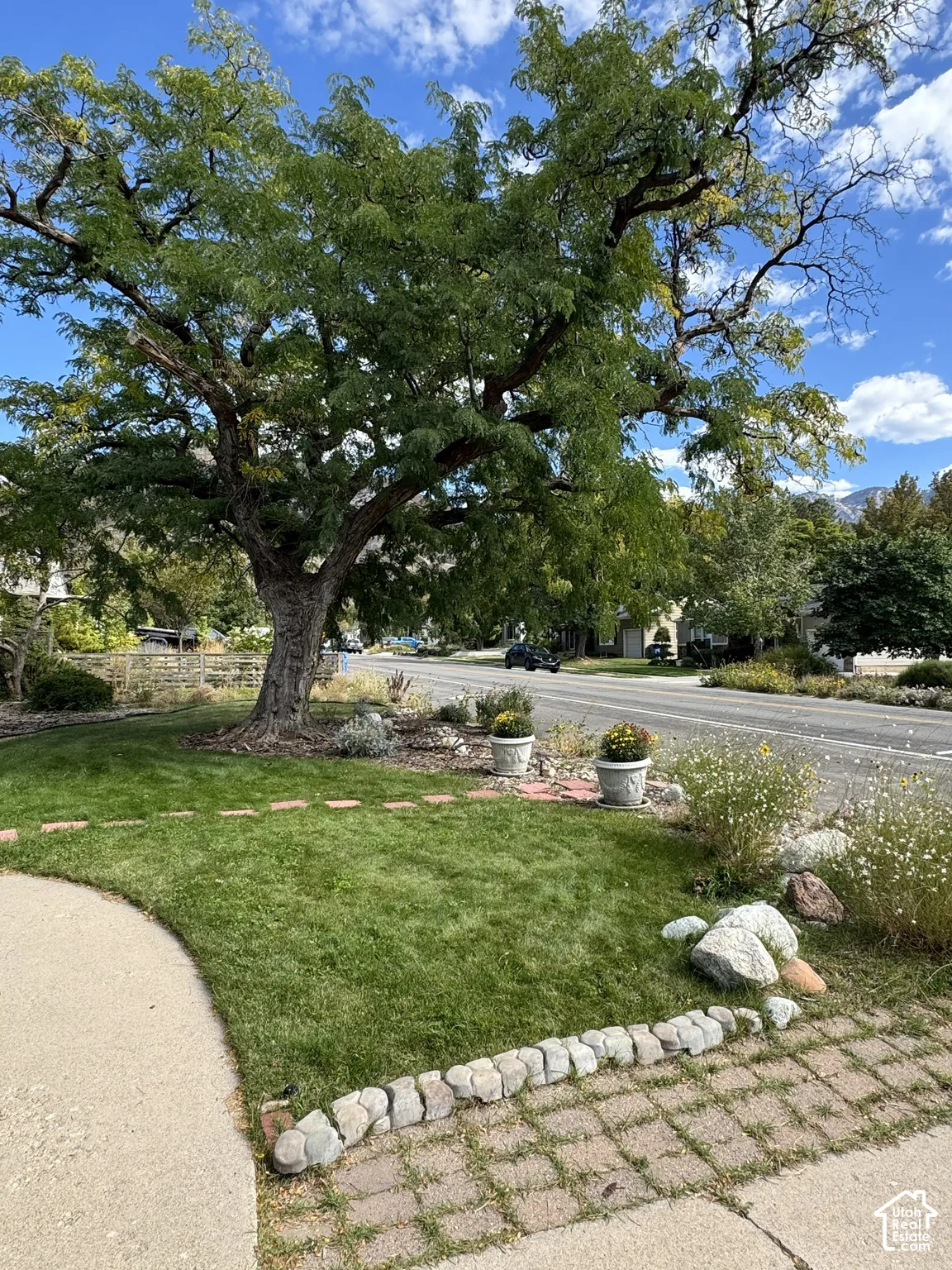 Front yard