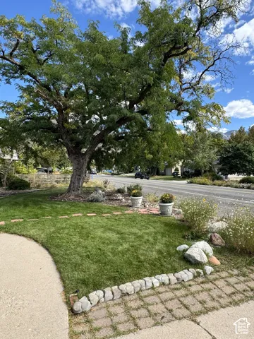 Front yard
