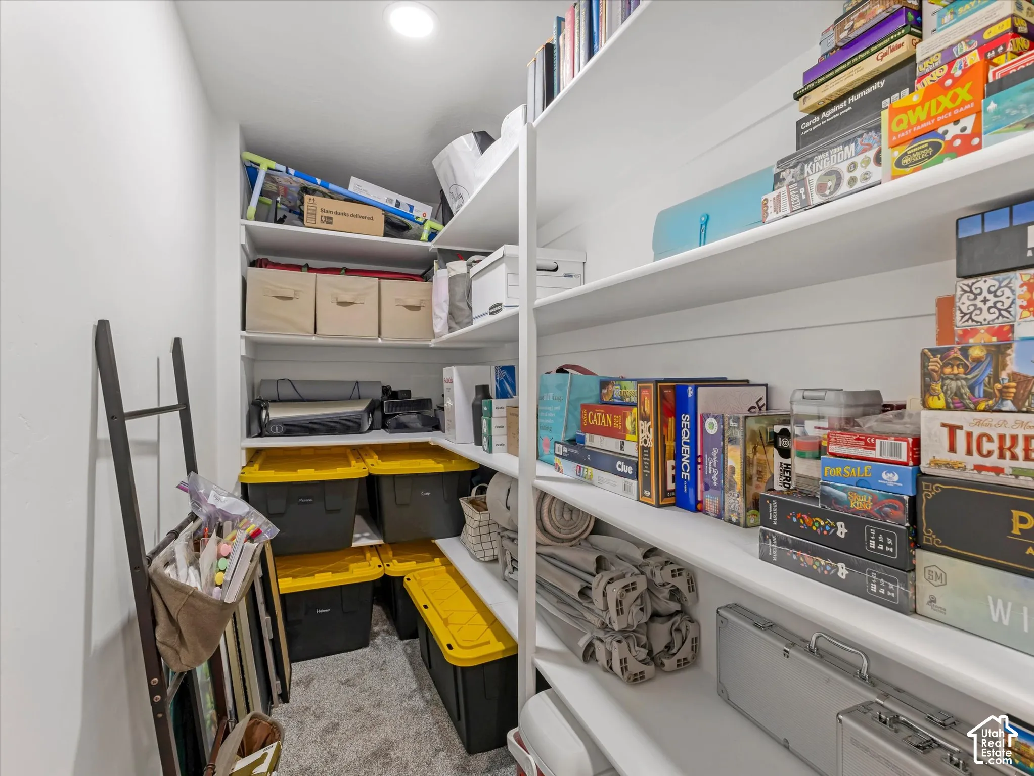 Recessed lighting illuminates extensive built-in shelving, providing ample storage capacity