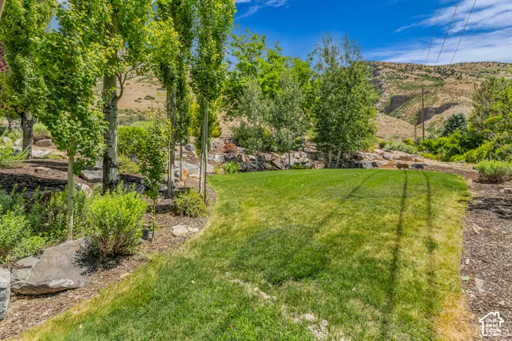 Lush green lawn bordered by mature trees and natural rock landscaping