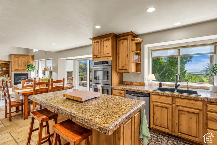 Kitchen featuring wood cabinetry, granite countertops, built-in stainless steel appliances, and a double basin sink