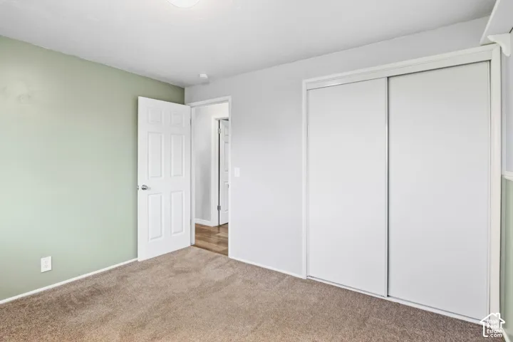 Soft green accent wall with neutral wall tones and plush carpeting