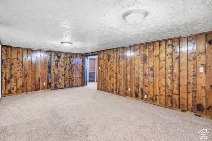 Carpeted flooring, wood paneling, and ceiling-mounted light fixtures