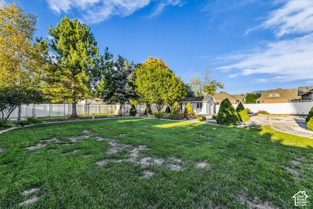 Expansive backyard featuring a manicured lawn, mature trees, a white perimeter fence