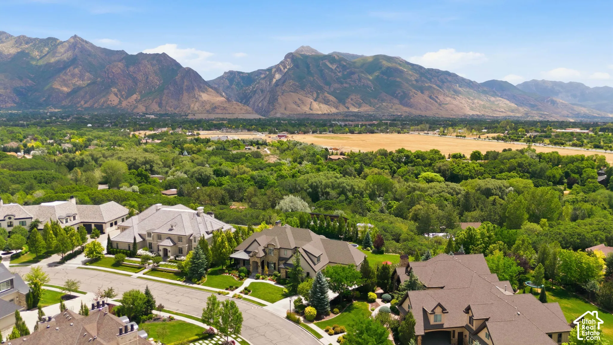Expansive residential community with established landscaping and prominent mountain backdrop