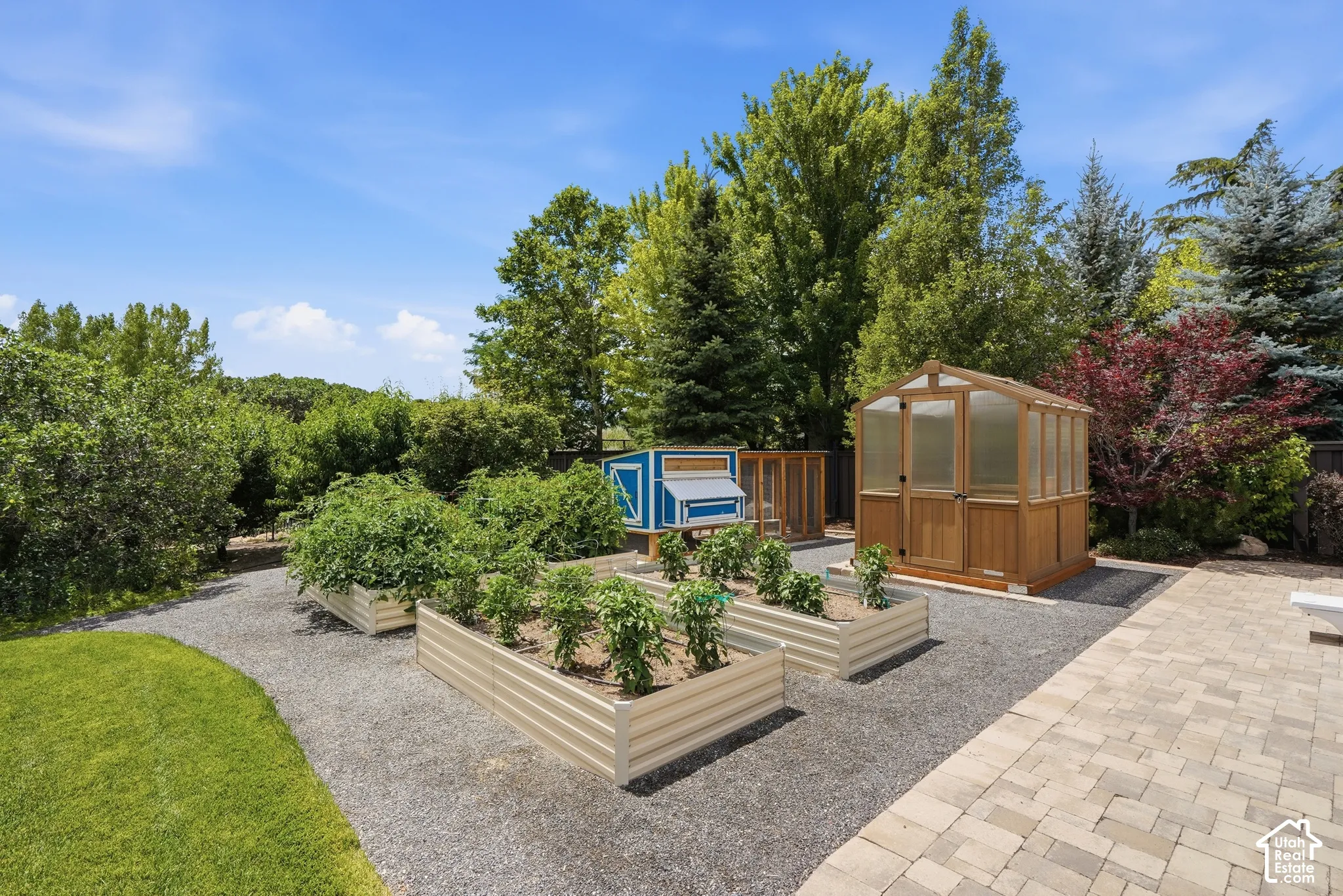 Expansive backyard with a greenhouse, multiple raised garden beds, a chicken coop structure, and a large paver patio area