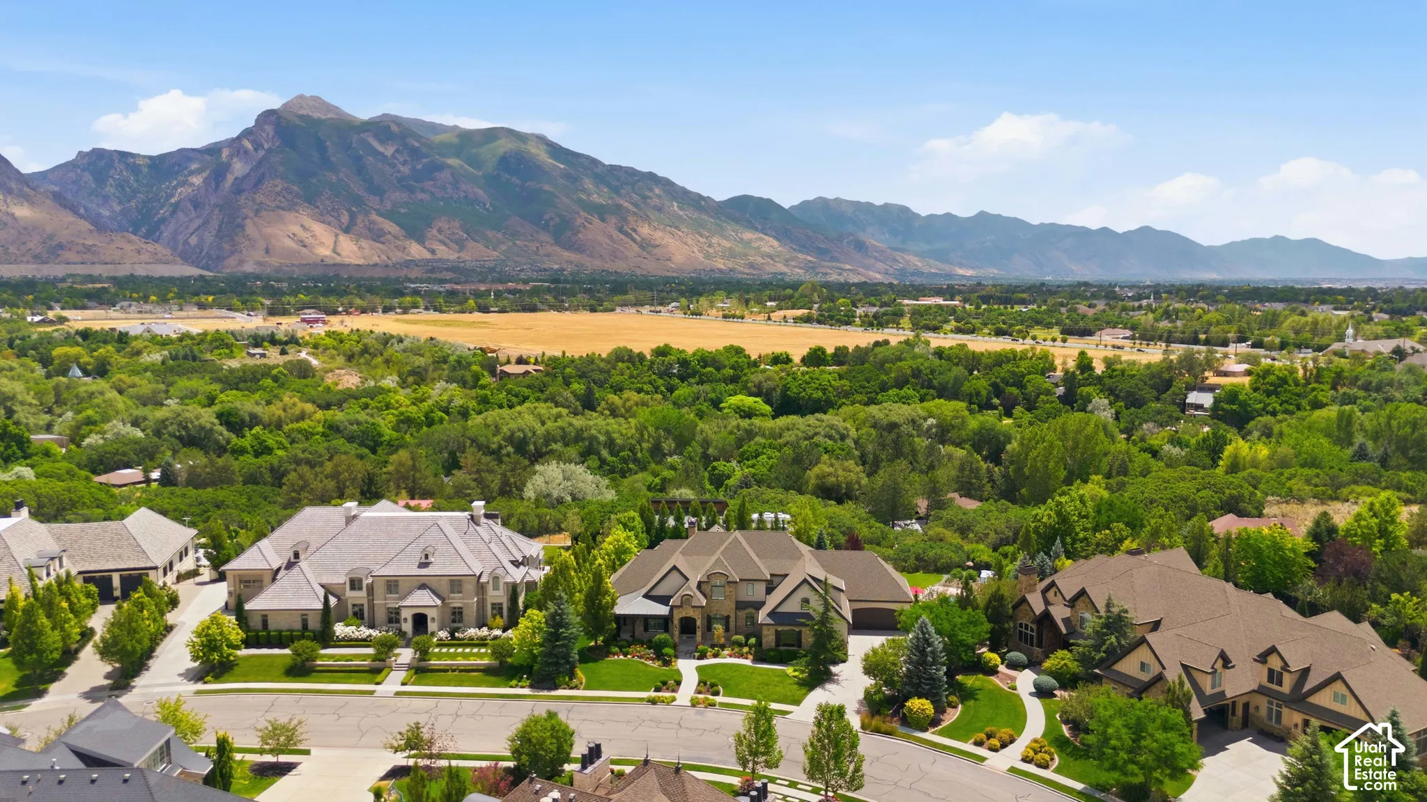 Mountain landscape backdrop, expansive residential area, mature trees, suburban street, paved roads