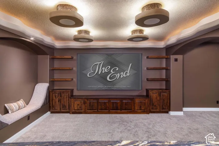 Built-in entertainment center with wood-finish cabinetry and display shelving, recessed wall niche, layered ceiling with accent lighting, and plush carpet flooring