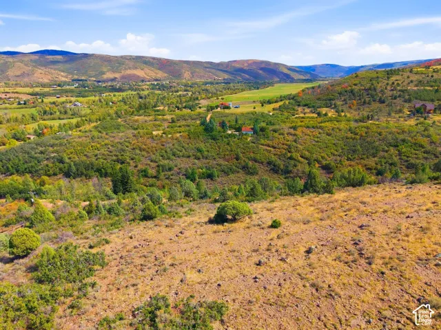 Expansive land parcel featuring natural vegetation and distant mountain ranges
