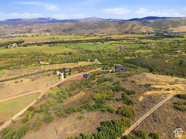 Expansive natural terrain featuring scattered trees and shrubs, with distant mountainous terrain