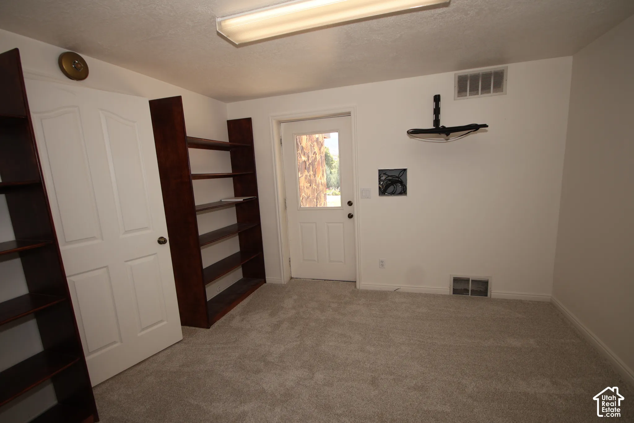 Plush carpet flooring, built-in shelving, white paneled door, and ceiling-mounted light fixture