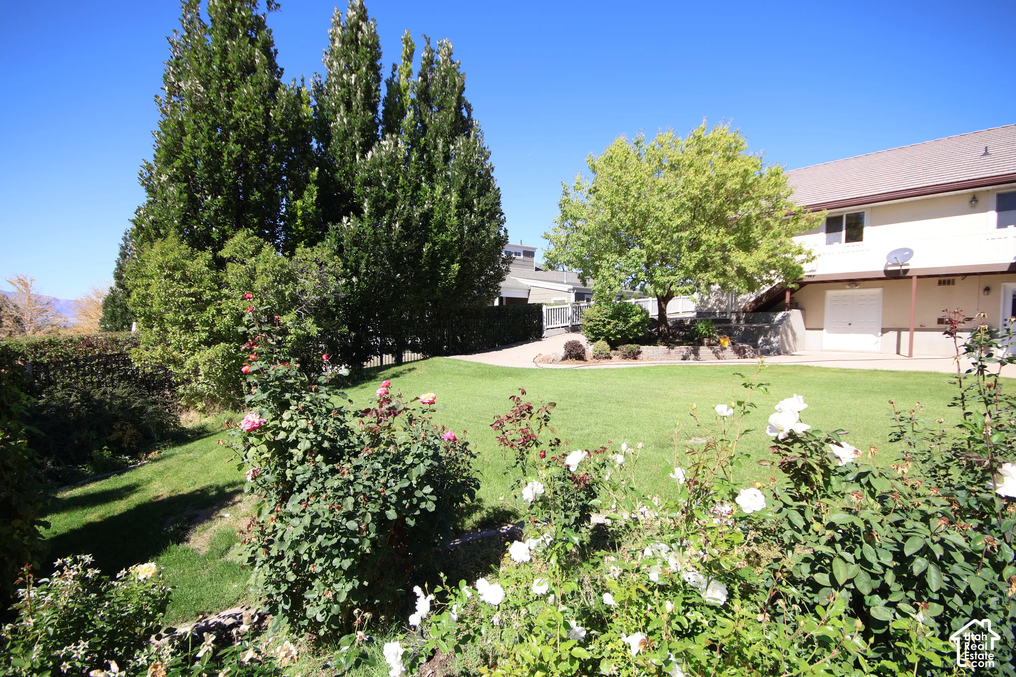 Expansive lawn area with mature trees and established rose bushes