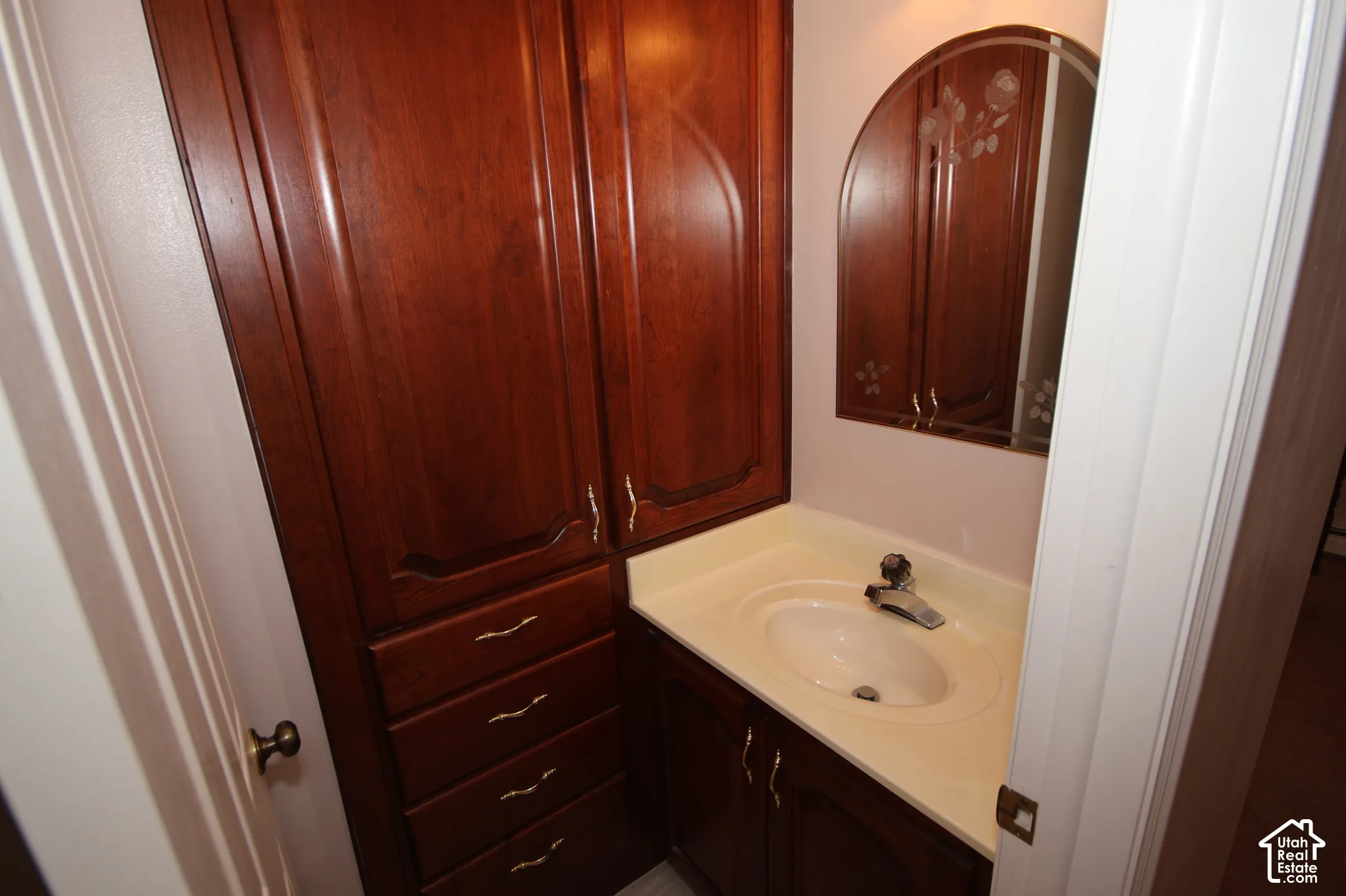 Built-in cabinetry with wood-finish doors and drawer fronts, integrated sink, and wall-mounted mirror