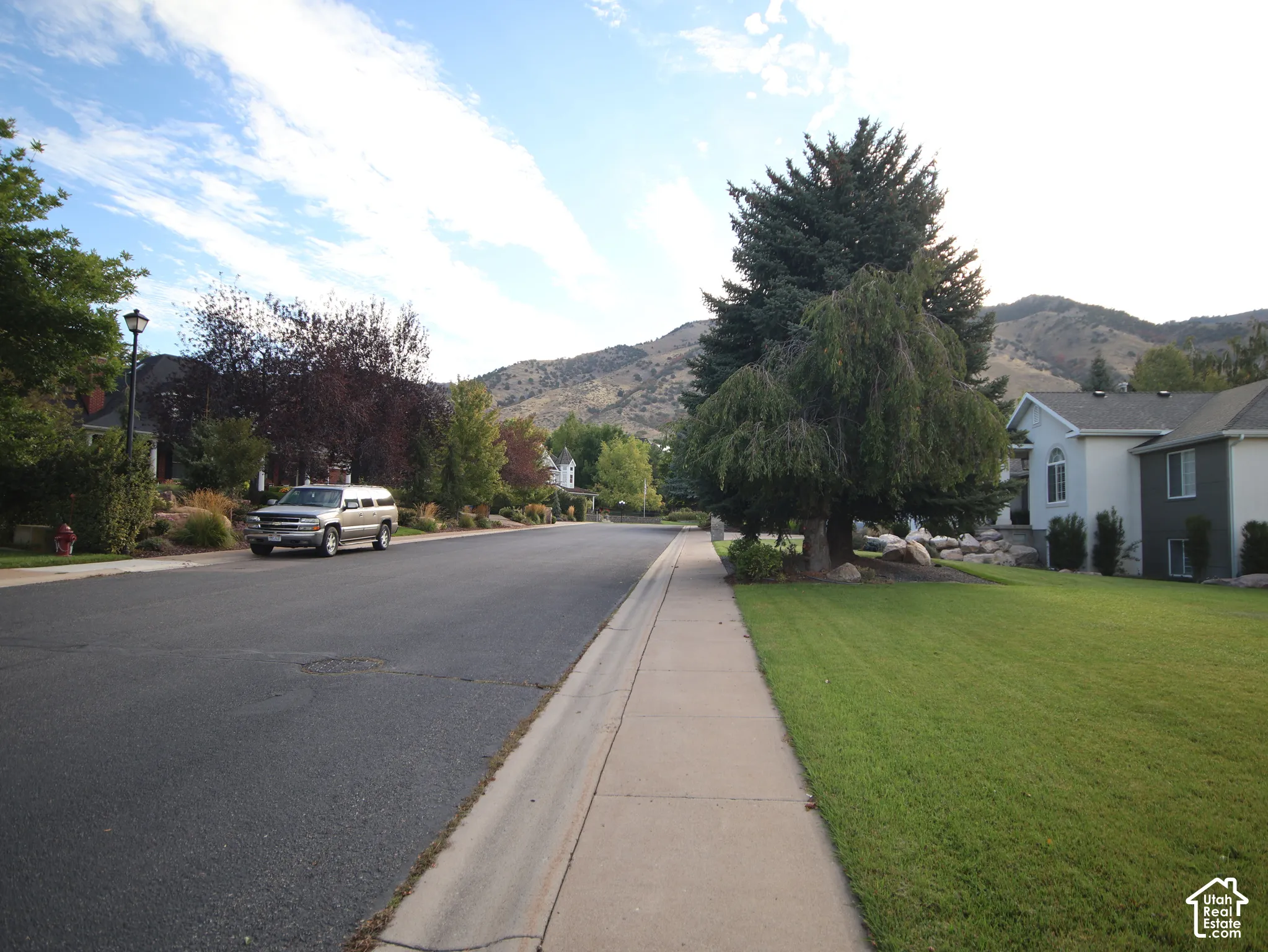 Mature trees, manicured lawn, and paved sidewalk