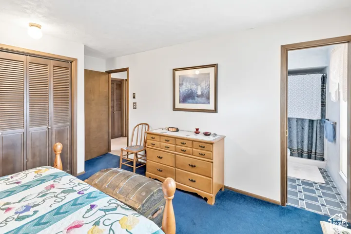 Blue carpeting with white walls