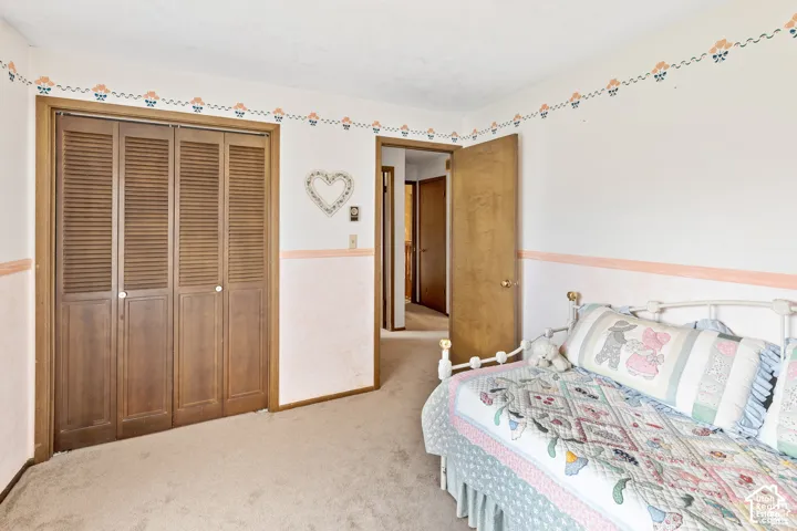 Carpeted flooring, wood louvered bi-fold closet doors, wood interior door, and white walls