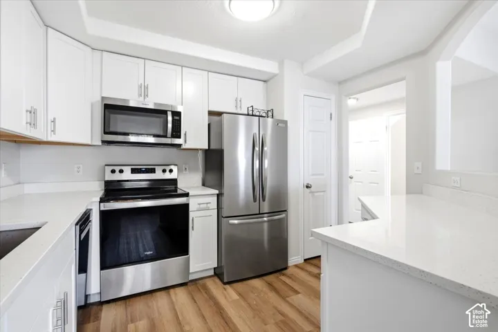 White cabinetry, stainless steel appliances, quartz countertops, LVP flooring, and recessed lighting