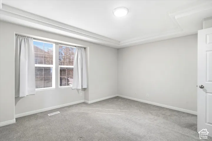 Recessed tray ceiling with crown molding, double windows, wall-to-wall carpeting, and a flush-mount ceiling light fixture