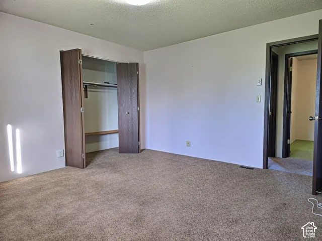 Neutral-toned carpeting, wood-finish bi-fold closet doors, and dark-toned door frames