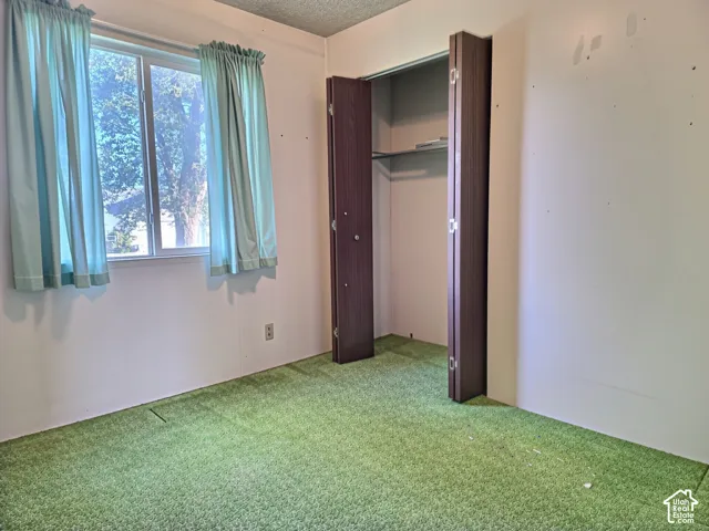 Room featuring a dual-pane sliding window, wall-to-wall carpeting, and a built-in closet with folding doors