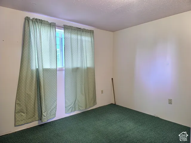 Textured wall surfaces, wall-to-wall carpeting, and a sliding window with grid detail