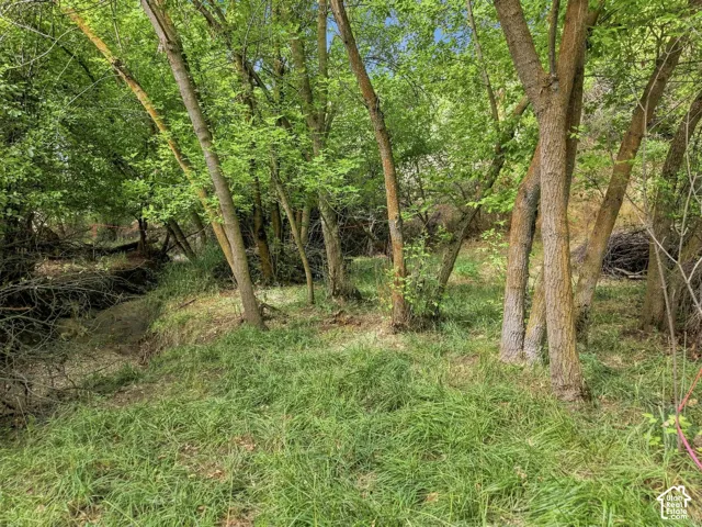 2141 E Oak Ln, Layton, Utah 84040