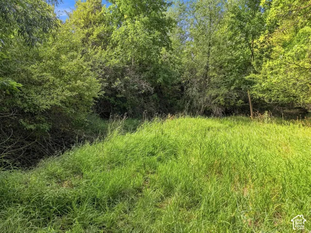 2141 E Oak Ln, Layton, Utah 84040