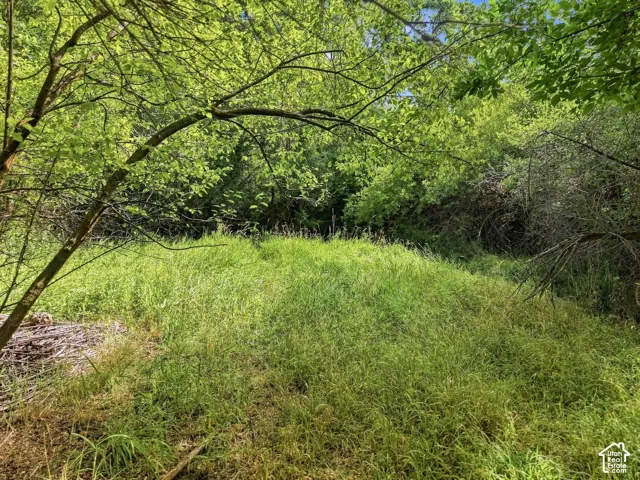2141 E Oak Ln, Layton, Utah 84040