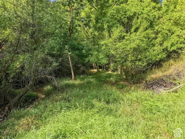 2141 E Oak Ln, Layton, Utah 84040