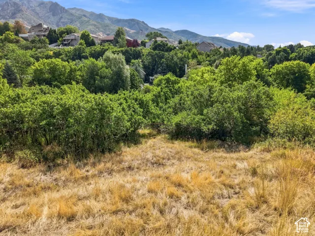 2141 E Oak Ln, Layton, Utah 84040