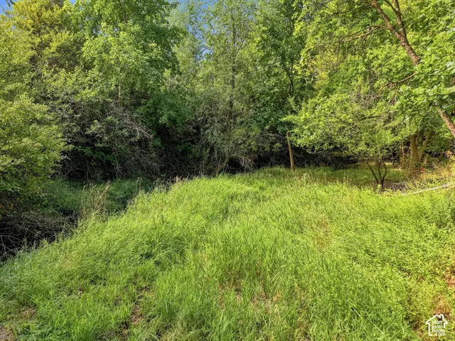 2141 E Oak Ln, Layton, Utah 84040