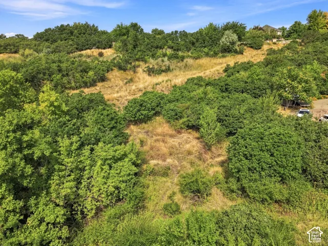 2141 E Oak Ln, Layton, Utah 84040