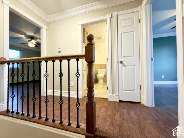 Top floor hallway to bedrooms, bathroom, laundry & linen closet
