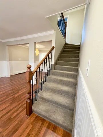 Carpeted staircase featuring wrought iron balusters and a wood-finish handrail, complemented by wood-finish flooring and wainscoting