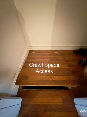 Storage closet/crawl space access