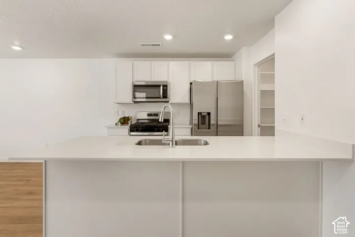 Kitchen featuring a large island with an undermount sink, stainless steel appliances, white cabinetry, and a pantry with shelving