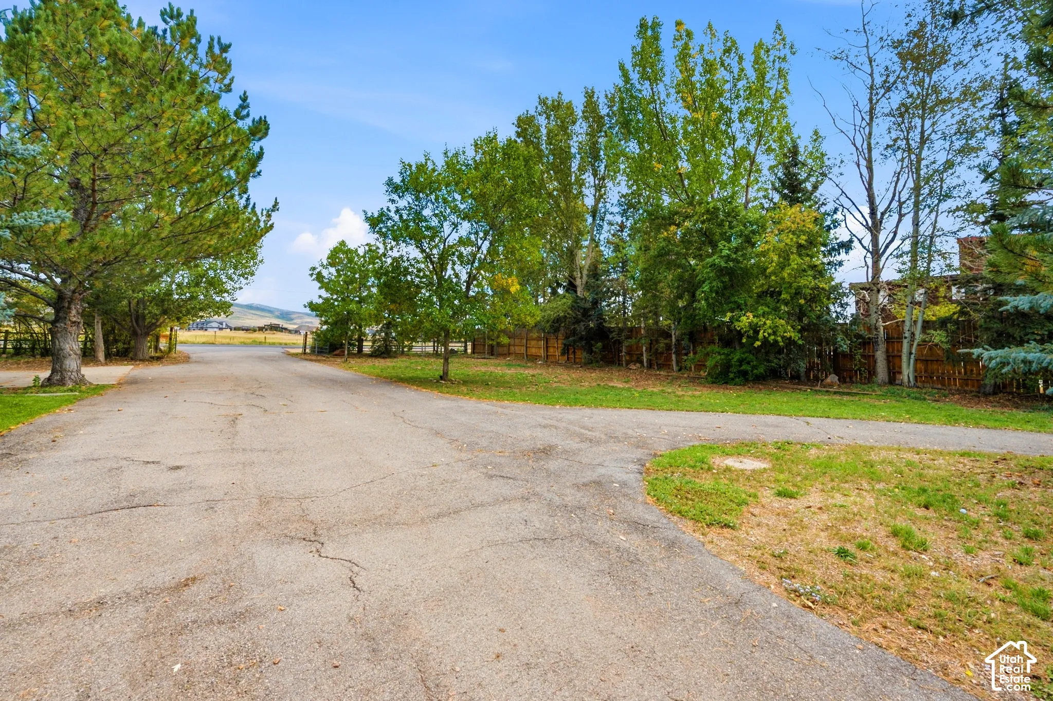 Paved drive with mature trees and a distant mountainous backdrop