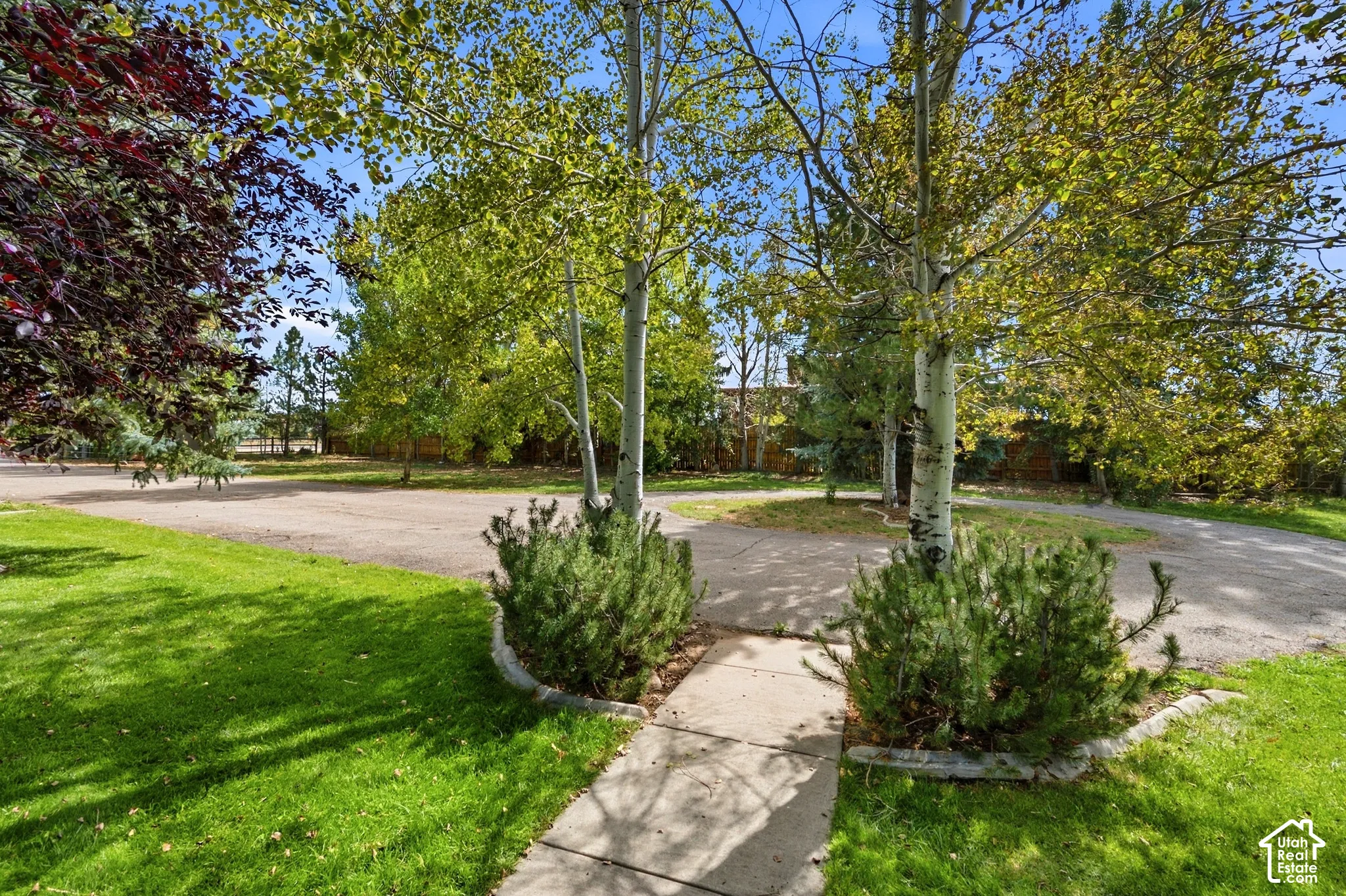 Expansive lawn area, mature trees, concrete pathway, and decorative landscaping with shrubs