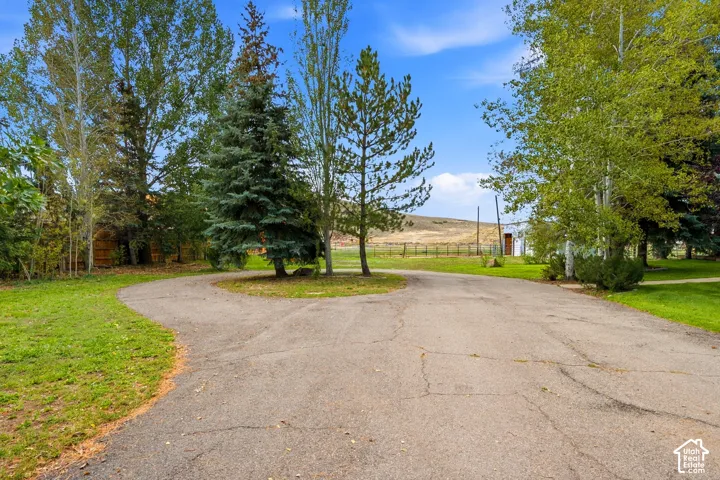 Paved driveway with mature trees and open land in the background