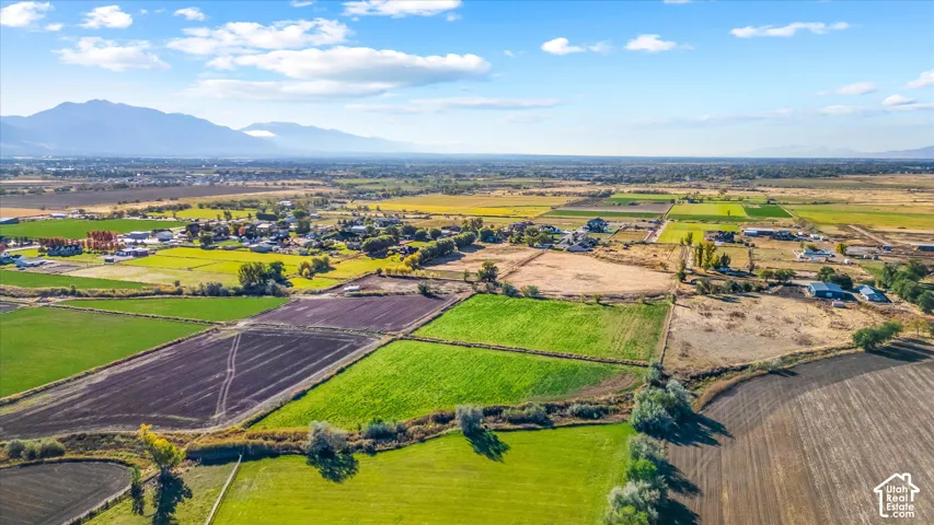 Expansive agricultural landscape featuring cultivated fields and a distant mountain range