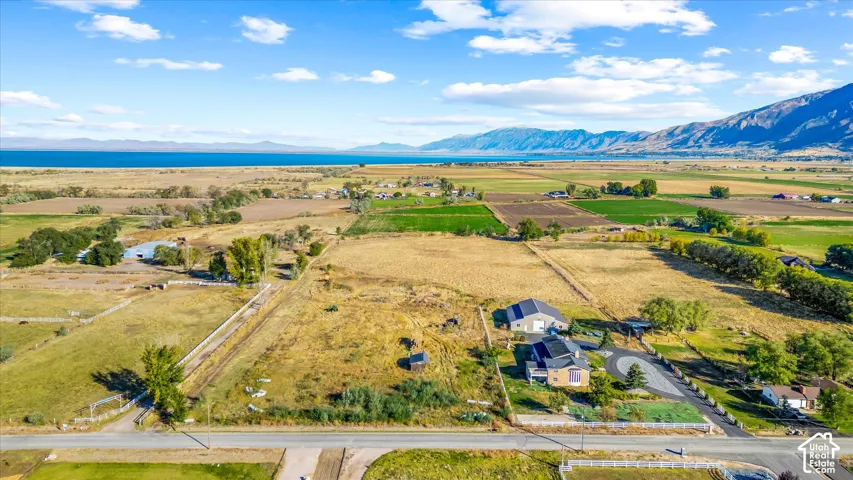 Expansive property with a paved road frontage, mature trees, and agricultural fields