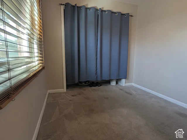 Window featuring wood-finish blinds