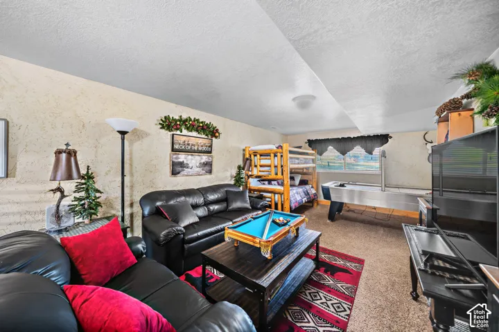 Carpeted recreation room with textured wall finish