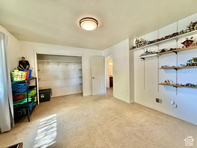 Large bedroom #1, Recessed lighting, light-toned carpeting, built-in open closet with shelving, and adjustable wall-mounted shelving