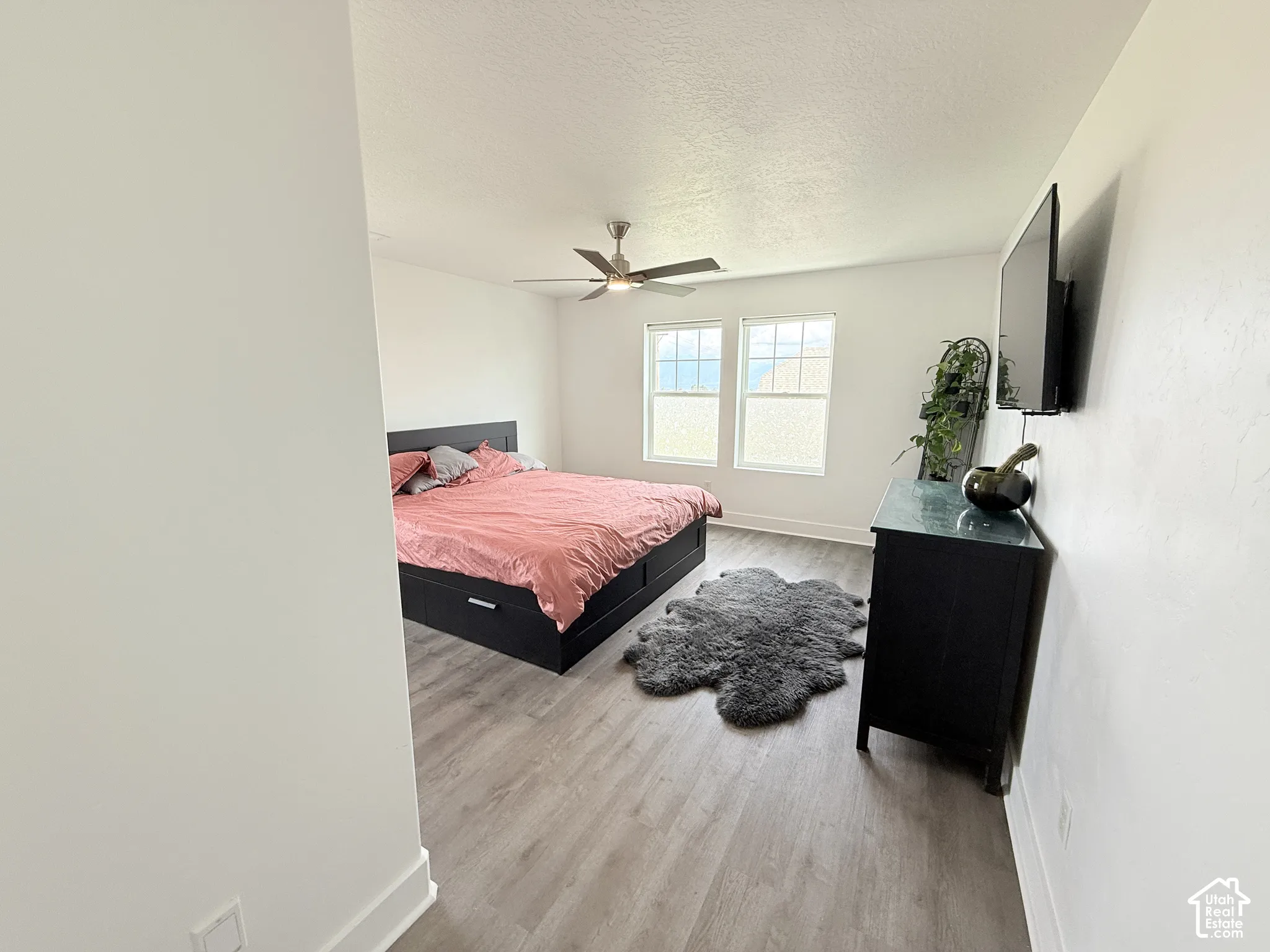 Wood-finish flooring, two large windows, ceiling fan, and white walls
